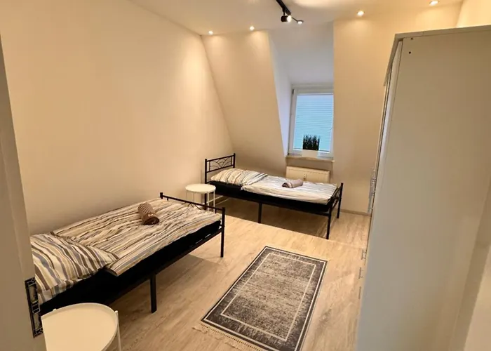 A&v Arena Naehe Tiger